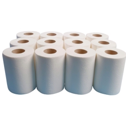 Ręcznik Papierowy Celuloza 2W 50m 12 sztuk HS555